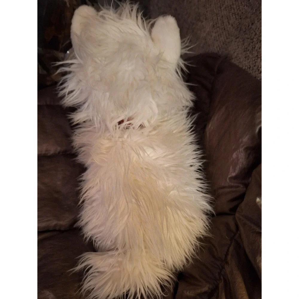 Ty Classic Fluffy White Dog Plush Named‎ MacDougal from 2001/ 12 INCHES